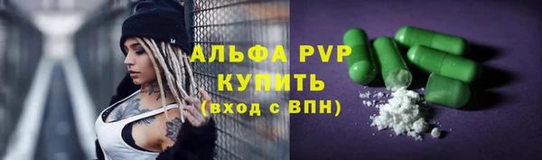 a pvp Аркадак